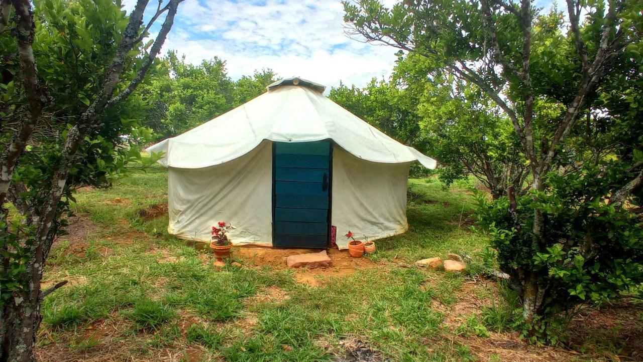 La Pacha Hostel Barichara Eksteriør billede